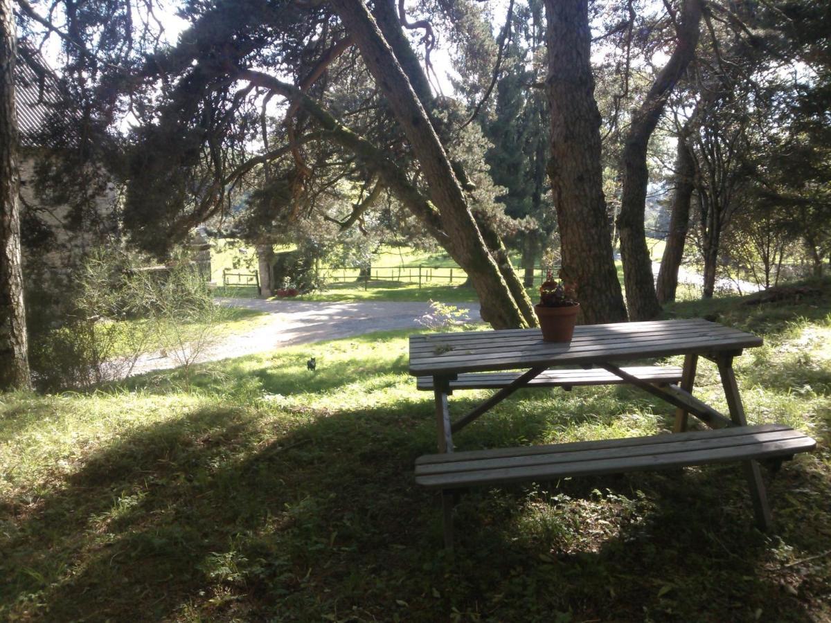 Domaine D'Angel-Berg Hotell Vezins-de-Levezou Eksteriør bilde