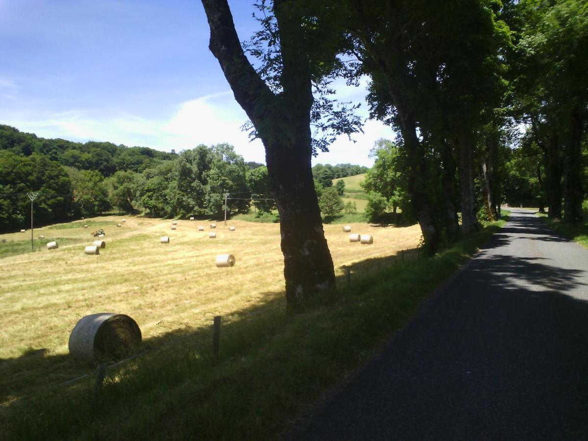 Domaine D'Angel-Berg Hotell Vezins-de-Levezou Eksteriør bilde