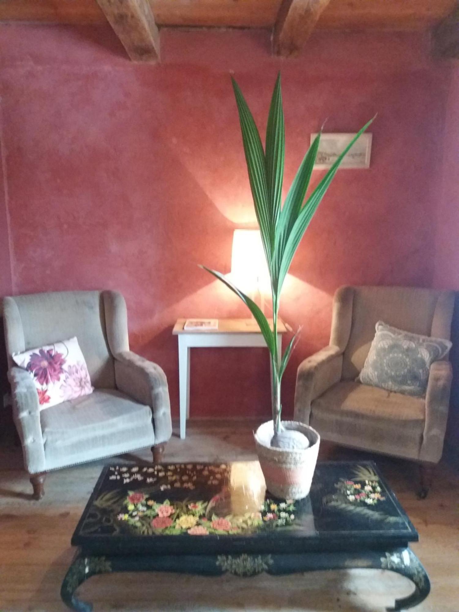 Domaine D'Angel-Berg Hotell Vezins-de-Levezou Rom bilde